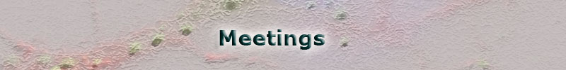 meetings header