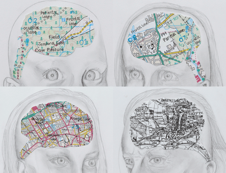Mind Maps by Verity Miller. Typical stages and progressions of ones life, both in looks and in the brains development. In the head of each person, is an OS map which symbolises the brain, as the people become older the OS maps become more complex and detailed. These start from a brain of a wood for the baby, nothing but trees and land, which is slowly built upon with roads and buildings illustrating how complicated ones life and therefore their brain can get, and how also as we get older so many more opportunities arise, there ae so many more paths we can take yet always room to build on upon our knowledge and understanding of the world. The only similarity in each brain is that the five main areas are labelled and depicted by symbols that are commonly found on an OS yet also representative of what the certain area controls. For example, a symbol of a telephone would be found in the temporal lobe, the area that controls speech/communication. These names Occipital lobe, Temporal lobe. Parietal lobe, Frontal lobe, and the Cerebellum, are all written to look like names of towns or villages on an ordinary map. Entry for Imagining The Brain 2010