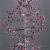 DNA_60T