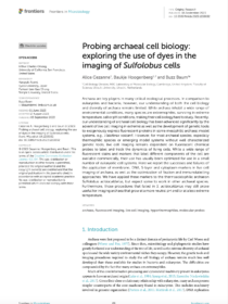 Probing archaeal cell biology: exploring the use of dyes in the imaging of Sulfolobus cells<br /><strong>Cezanne A, Hoogenberg B, Baum B.</strong> (2023)