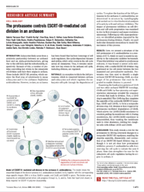 The proteasome controls ESCRT-III-mediated cell division in an archaeon.<br />
<strong>G Tarrason Risa, F Hurtig, S Bray, AE Hafner, L Harker-KirschnecK, P Faull, C Davis, D Papatziamou, DR Mutavchiev, C Fan, L Meneguello, AA Pulschen, G Dey, S Culley, M Kilkenny, L Pellegrini, RAM de Bruin, R Henriques, AP Snijders, A Šarić, A-C Lindås, NP Robinson* and B Baum*</strong> (2020)