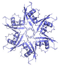 View down the SOK4 DIX polymer View down the SOK4 DIX polymer