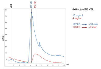 Concentration-dependent polymerisation of the VEL domain Concentration-dependent polymerisation of the VEL domain
