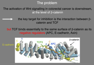 No well-validated small-molecule inhibitors of oncogenic -catenin No well-validated small-molecule inhibitors of oncogenic -catenin