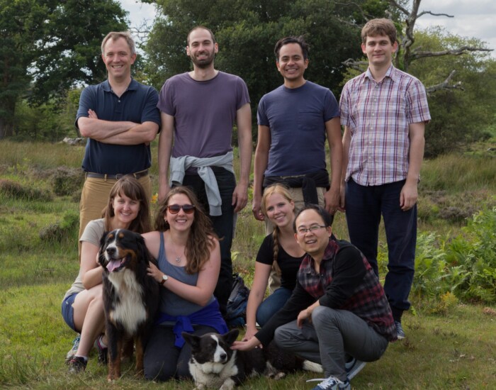 August 2015: New Forest