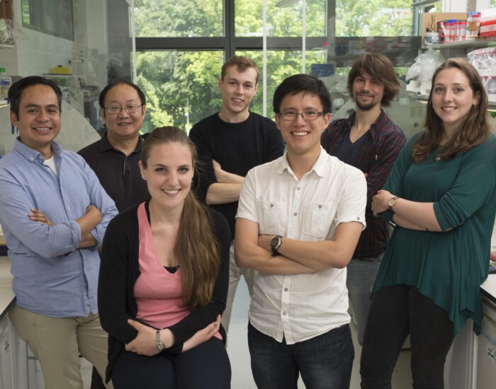 July 2016: In the Lab