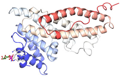 Structure of CALM ANTH domain bound to PIP2 lipid headgroup