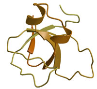 amphiphysin SH3 domain