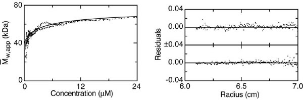 Analytical ultracentrifugation of BAR domains