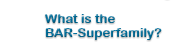 What is the BAR-Superfamily?