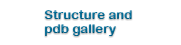 Structure and pdb gallery