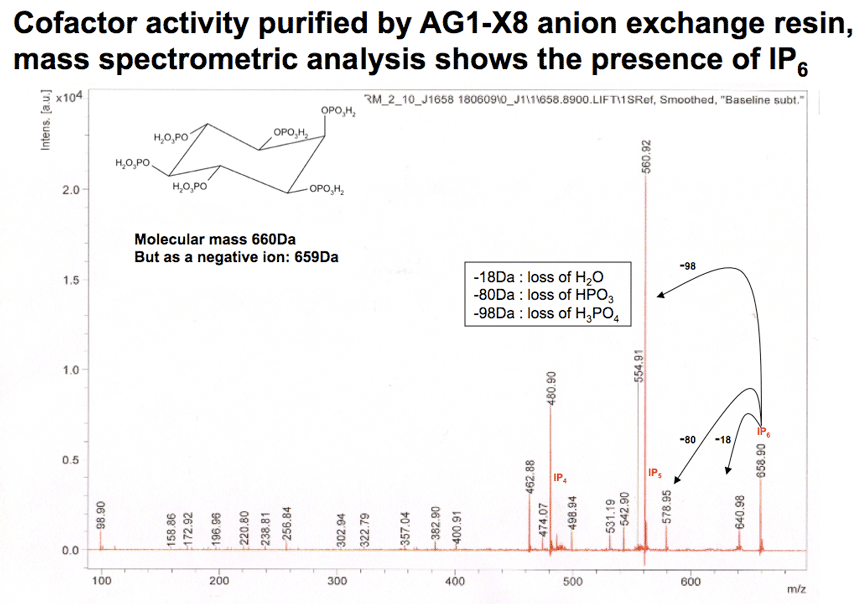 YopJ cofator activity as purified by anion exchange chromatography from HeLa cell lysate and subjected to mass spectrometry. Anaysis howed the presence of inositol hexakisphosphate (IP6).