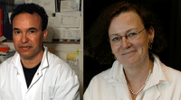 Christine Petite and Saaïd Safieddine, Institut Pasteur, Paris, France. Thoughts and tribute on hearing of the death of Barbara Winsor