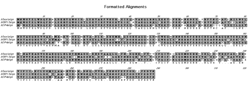 TocaFamilySequences