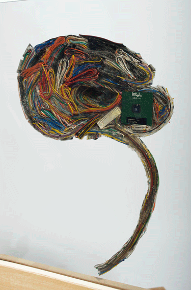 Connections in the brain, a model of the brain made with computer parts including a memory chip in the cerebellum: Entry for Imagining The Brain 2009