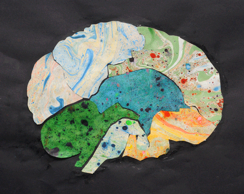 Regions of the brain, by Yancen: ITB entry 2010