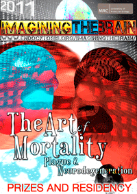 The Art of Mortality