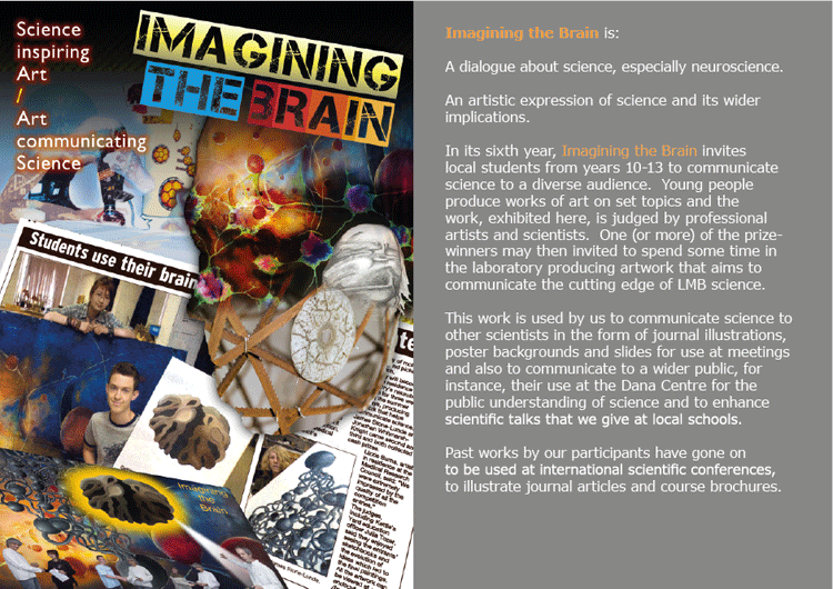 History of Imagining The Brain 2011