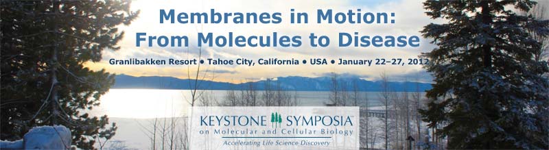 Membranes in Motion, Tahoe