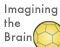 Imagining the Brain