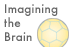 Imagining the Brain