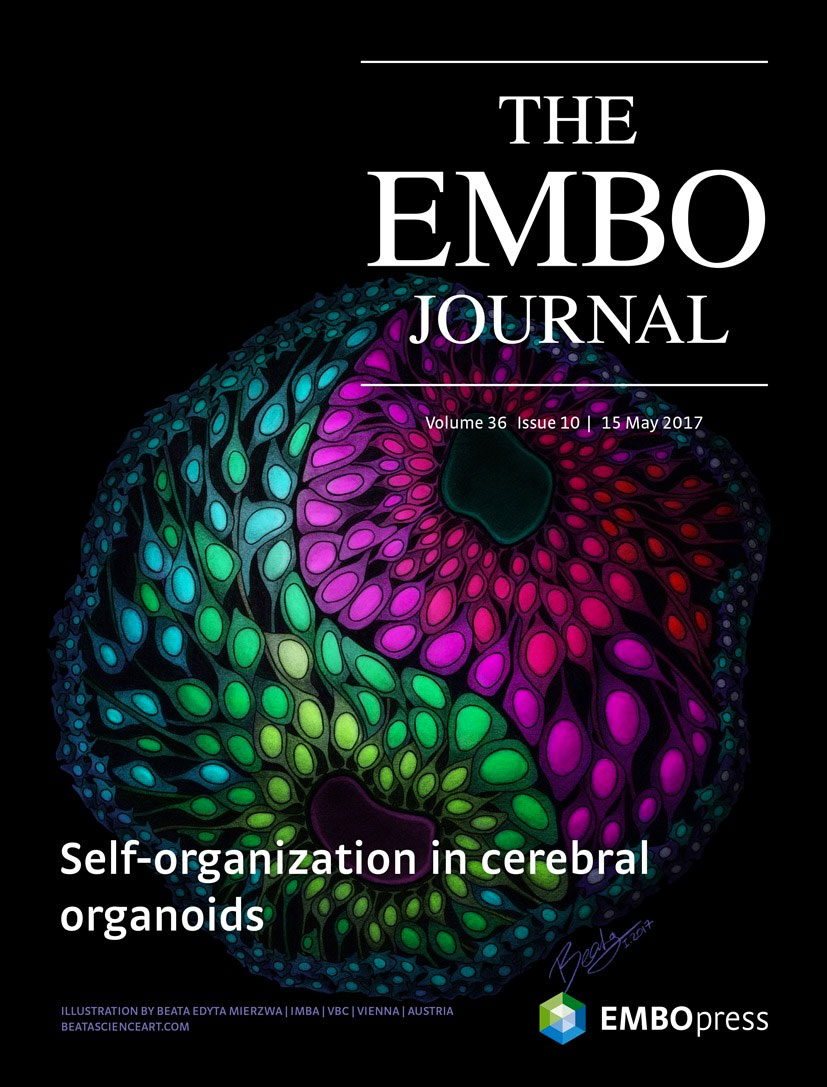 EMBO cover