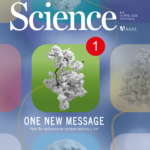 Cover for pre-B (Charenton, Wilkinson & Nagai, Science 2019). Surely they'll like this one? Nope, they used a picture of graphene instead