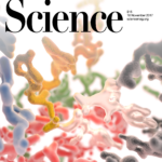 Cover attempt for P complex (Wilkinson et al, Science 2017). In hindsight I guess it looked cool but was totally opaque in meaning. So they used a picture of a man in a boat instead