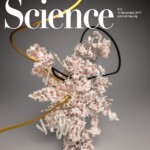 Another idea attempt for P complex (Wilkinson et al, Science 2017). They didn't bite, but this time I don't blame them.