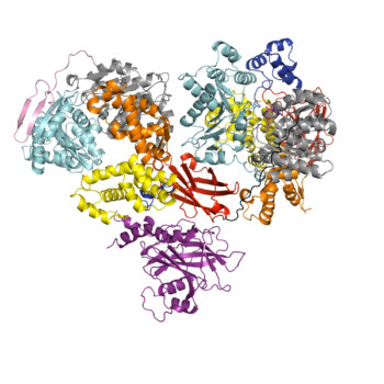 Brr2-Prp8Jab