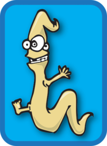 Cartoon image of worm