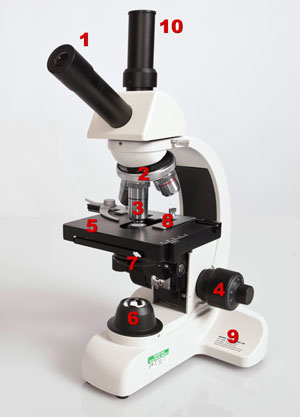 Which objective lens should be in position before you store a microscope