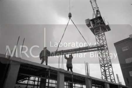 Construction of the 13-bay extension to the LMB building: a crane helps move a piece of the supporting structure into place.