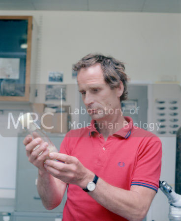 Peter Lawrence photographed in his lab, c. 2000s. The same photo appears in the 2007/2008 lab brochure.