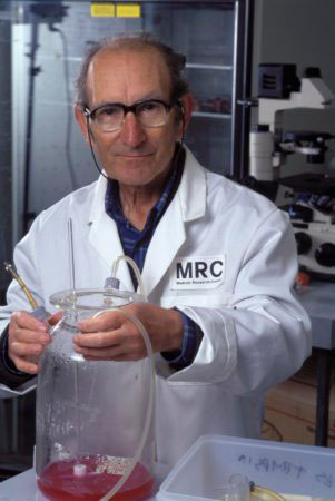 César Milstein in the laboratory, c. 1990s, with spinning culture flask used for hybridomas. 