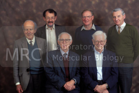 LMB scientists associated with Peterhouse College, Cambridge, from left to right: Max Perutz, Tony Crowther, Aaron Klug, John Finch, John Kendrew, Jo Butler. Photographed in 1996 for the Peterhouse College newsletter.