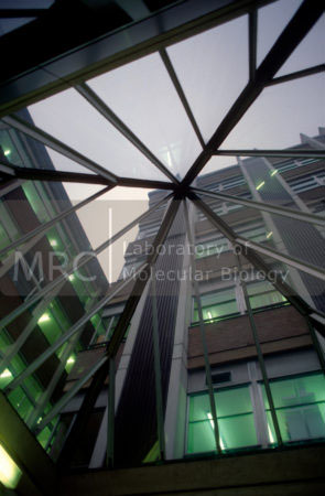 Looking upward through the glass pyramid, which stood above the original LMB reception area prior to the Max Perutz Lecture Theatre being built, to show part of the 13-bay and Block 7 extensions.