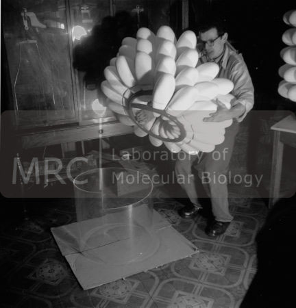 The sculptor John Ernest constructing a model of the tobacco mosaic virus, photographed by John Finch. Aaron Klug commissioned Ernest to build the model for the International Science Pavilion at the Brussels World Exhibition in 1958. More photographs from this series can be seen at the Models & Artefacts section of the website.