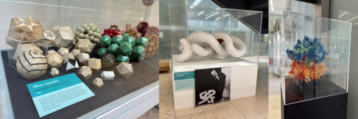 Images of three archive displays in the LMB atrium: image 1 shows geometric virus models made from easy to find materials such as paper and ping pong balls, in variety of shapes and colours, made by Aaron Klug and John Finch, image two shows the ‘sausage’ white and red model of myoglobin, showing the twists in the protein chain, and image three shows a 3D printed ribosome model in blues, greens, reds and yellow colours to highlight the different parts of the protein machine in a display case. 