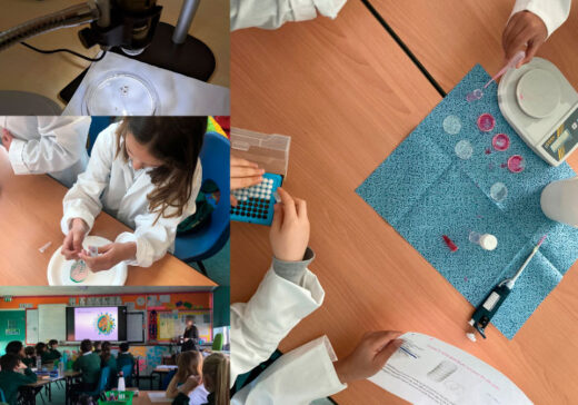 Top left: Frogspawn down a microscope, middle left: pupil experiments with dyes on a jelly brain, bottom left: Anna Albecka-Moreau tells pupils about viruses. Right: Pupils reading instructions for virus activity.
