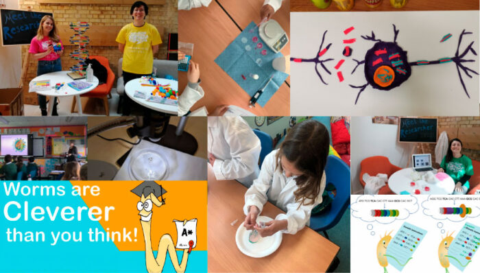 Collage of images from the Cambridge Festival 2022 and British Science Week school activities.