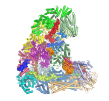 Atomic structure of the anaphase-promoting complex 