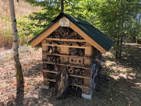 A bug hotel provides a safe refuge for insects. 
