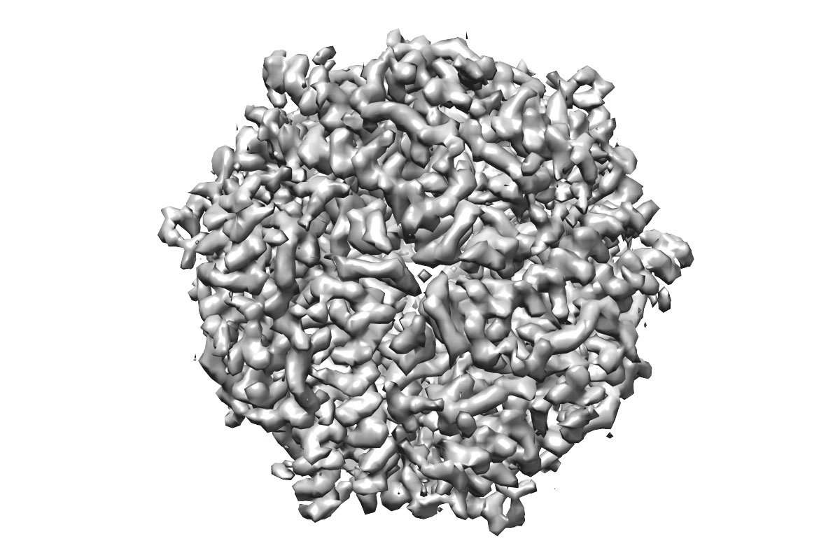 A 3D reconstruction of DPS protein at 100 keV