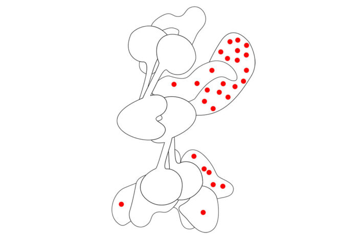 A simplified diagram of the FA core complex with red dots showing the locations of disease-causing mutations.