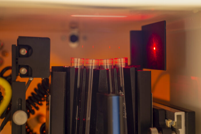 Four streams of droplets carrying sorted cells into collection test tubes. The droplets are illuminated by a beam of red light