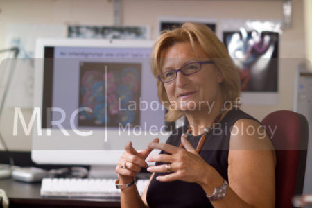 Daniela Rhodes photographed in her office. Taken from a series of photographs commissioned for the 2009/2010 LMB brochure.