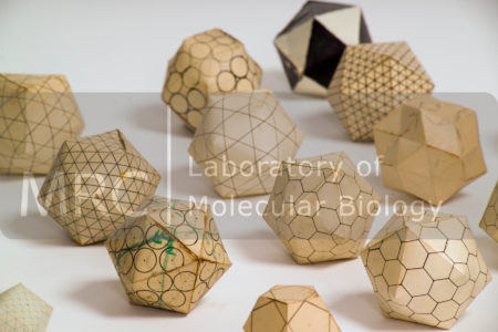 Selection of Aaron Klug's paper models, c. 1960s, to show the geometry of viruses.