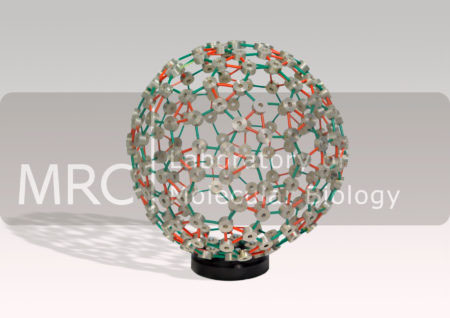 Aaron Klug's 'self-assembling' model of the protein shell of a spherical virus particle.  Model built by the LMB workshop.