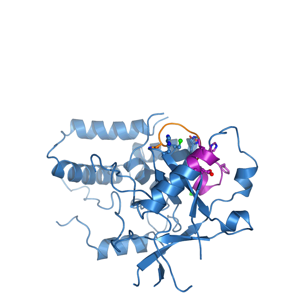 Animation of the Cezanne catalytic cycle
